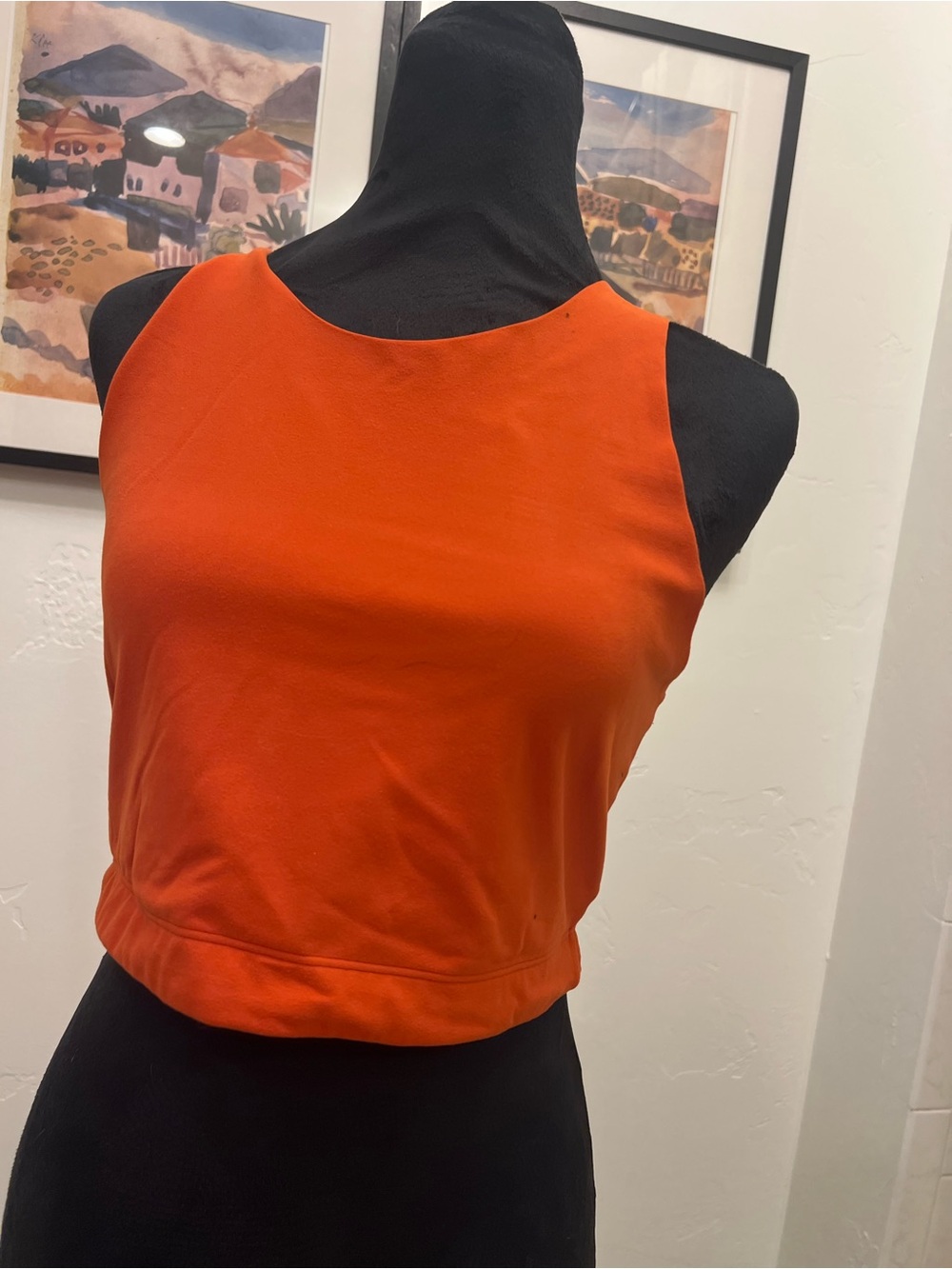 REI Bright Orange Sleeveless Crop Top